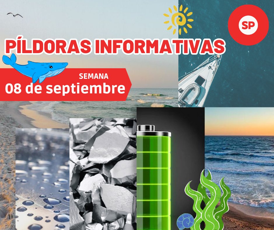 Píldoras Informativas – 08 de septiembre - fischer Shop