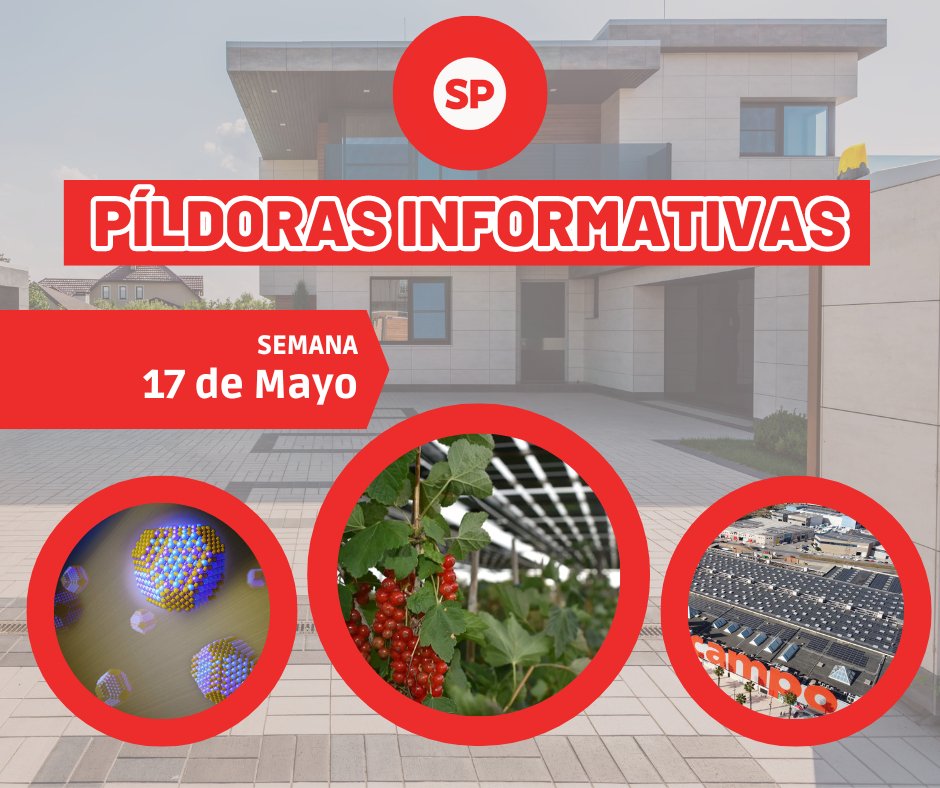 Pildoras informativas - 17 de mayo - fischer Shop