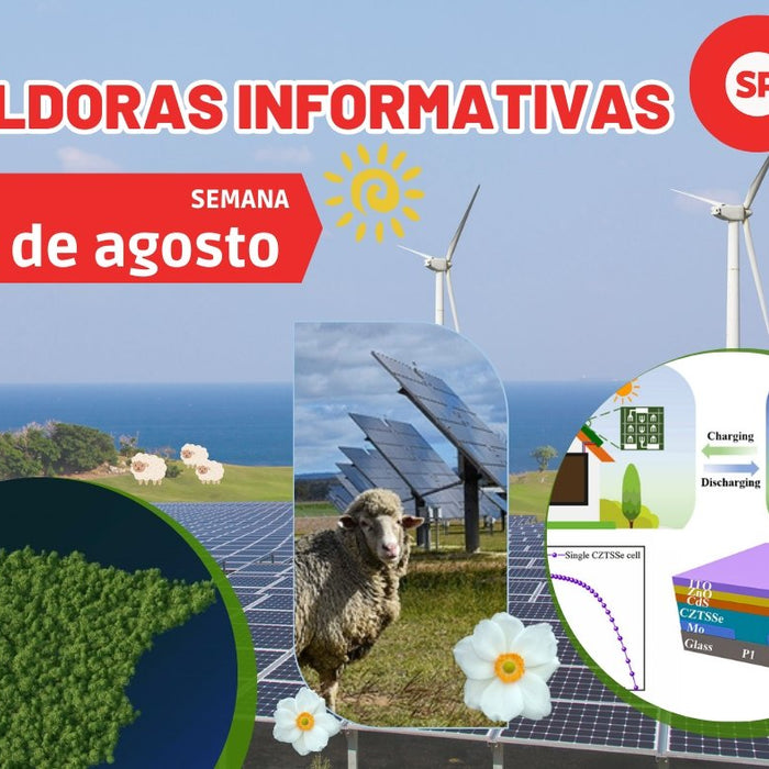 Píldoras Informativas - 4 de agosto - fischer Shop