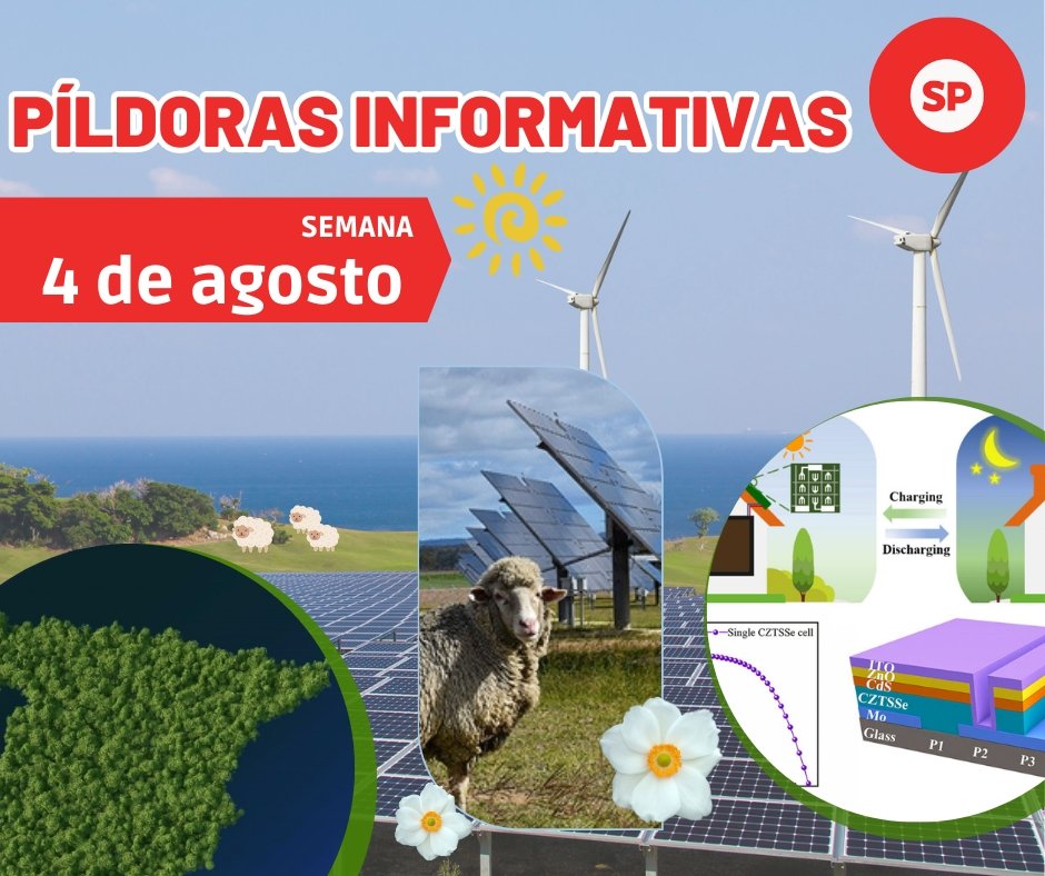 Píldoras Informativas - 4 de agosto - fischer Shop