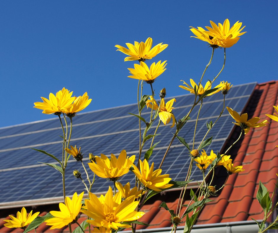 ¿Cuánta Energía produce una Placa Solar en Primavera? - Ejemplo 455 Watts - fischer Shop