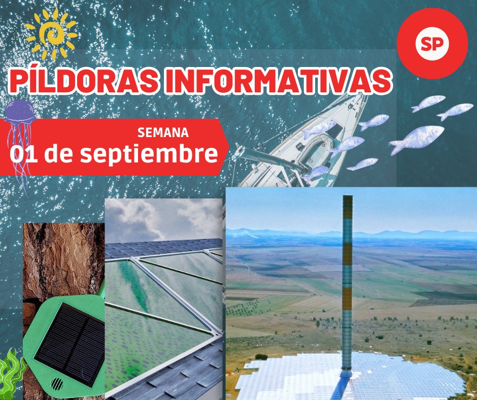 Píldoras Informativas – 01 de septiembre - fischer Shop