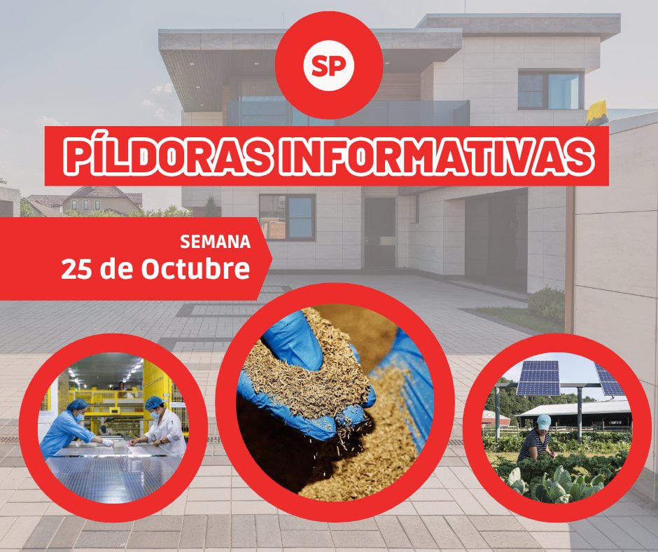 Píldoras informativas - 25 de octubre - fischer Shop