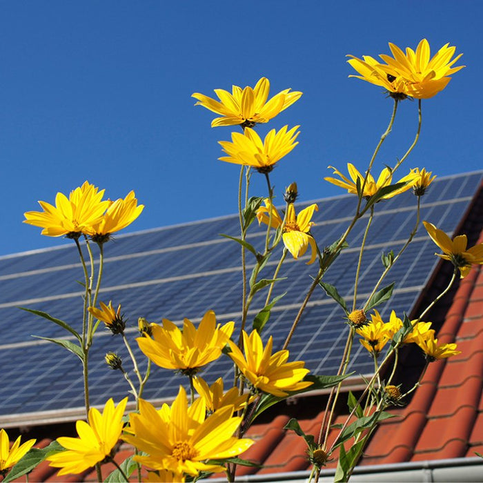 ¿Cuánta Energía produce una Placa Solar en Primavera? - Ejemplo 455 Watts - fischer Shop
